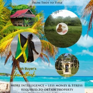 GUIDE TO HOW I WON PROPERTY IN JAMAICA