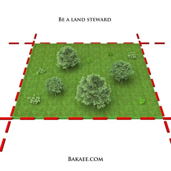Land Steward ($1K–$10K)   - Image 2