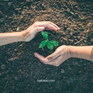 Seedling Supporter