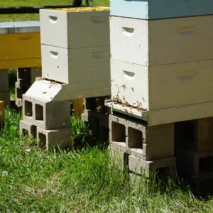 BaKaBee Full Hive Share