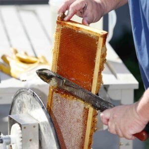 BaKaee Quarter Hive Share