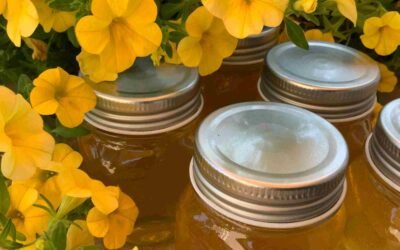 BaKaBee Apiary Share
