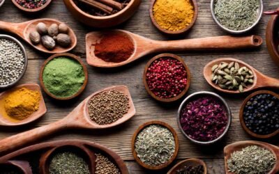 Jamaican Herbal Remedies & Holistic Healing Market Survey