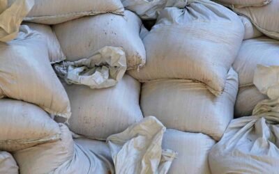 Sand bag home design