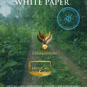 BaKaBean BakaEE White Paper