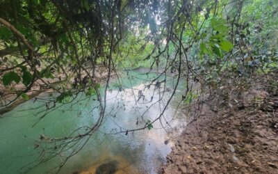 Hurricane of Help Wanted