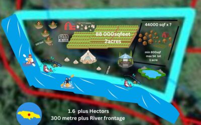 What would you do with 4 plus acres on a mineral spring river in Jamaica ? Help Shape the Future of Bakaee’s Sacred Ground