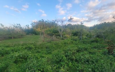 A storm of Support is on its way